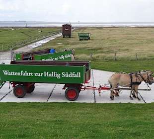 Die warten auf die Rücktour