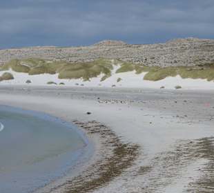 Yorke Bay bei Stanley