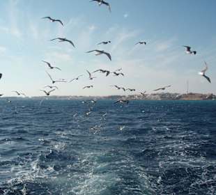 Fahrt zur blauen Lagune