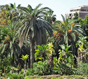 Rundgang durch den Botanischen Garten Cagliari