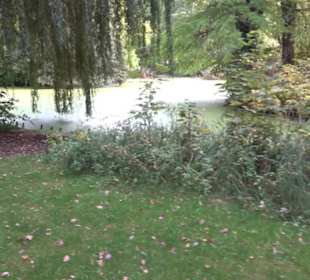 Teich beim Teehaus