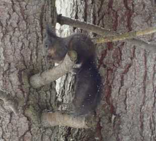 Hast Du mir was mitgebracht ?