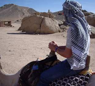 Kamelreiten incl. Quadtour