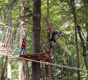 Kletterwald