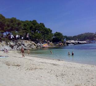 Strand 