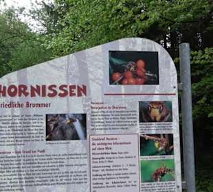 Naturinfopfad Weggental