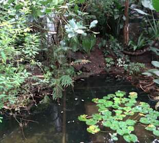 Tropicarium