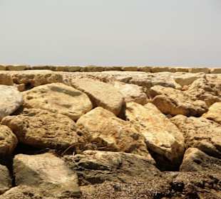 Am Hafen von Evrenseki Ende Mai