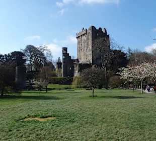 Blarney Castle