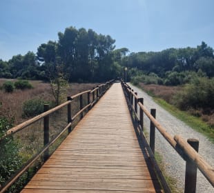 Außenansicht Camping Pappasole