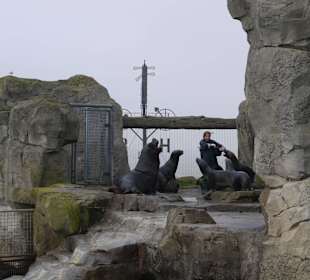 Gut gepflegte Gehege