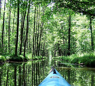 Mit dem Paddelboot im Hochwald