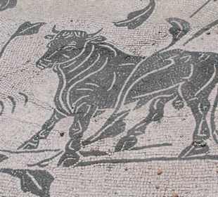 I mosaici pavimentali