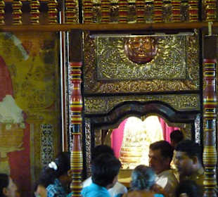 Kostbarstes Heiligtum Sri Lankas: Eckzahn Buddhas