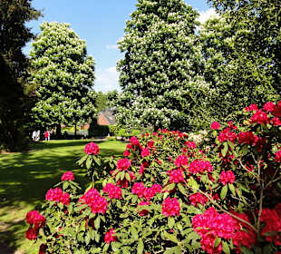Spaziergang durch den Kurpark