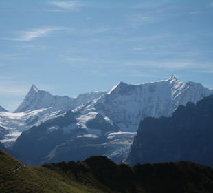 Blick auf Finsteraarhorn & Fiescherhörner