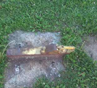 Bayerisches Eisenbahnmuseum