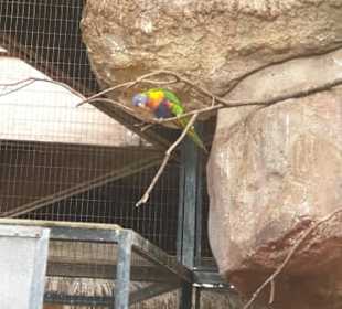 Allwetterzoo Münster