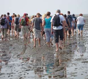 Gruppe bei der Wattwanderung
