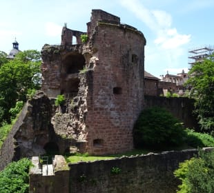 Schloss Heidelberg und Umgebung