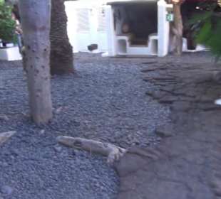 Fundacion Cesar Manrique