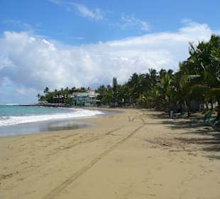 Strand von Cabarete