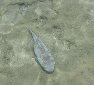 Фото с пирса