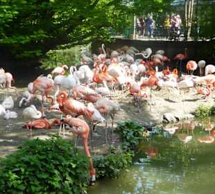 Tierpark Hellabrunn