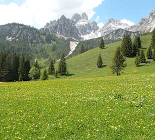 Wandern Schladming