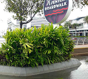 Sentosa Boardwalk