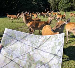 Wandern Deggenhausertal