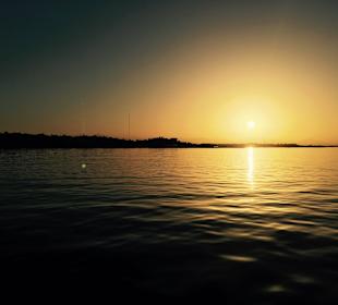 Delfinausflug mit Mo