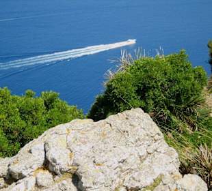 Auf dem Aussichtspunkt