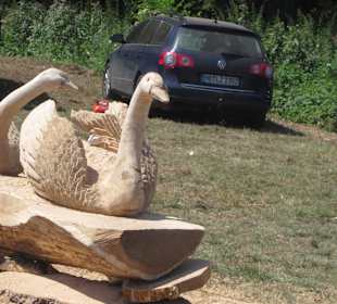 Kreativ Kettensägen am Rhein