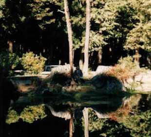 2. Teil des SchwesternTeiches