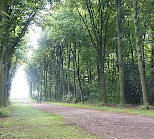 Großzügige Parkanlage