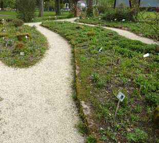 Unterwegs im Lehr-Kräutergarten im Kurpark Bad Orb