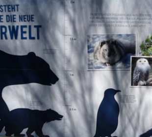 Tierpark Hellabrunn - Polarwelt