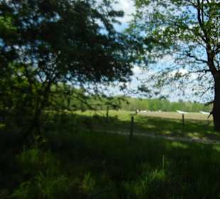 Naturschutzgebiet Boberger Niederung