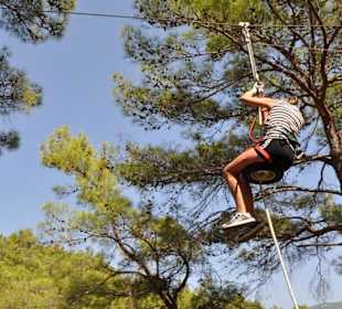 Wie Tarzan durch die Bäume schweben 