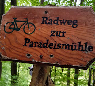 Wandern Klingenberm am Main