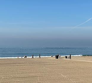 Santa Monica Beach
