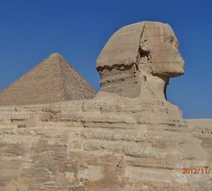 Der Sphinx