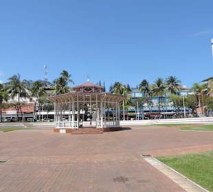 Grüne Lunge mitten in der Stadt