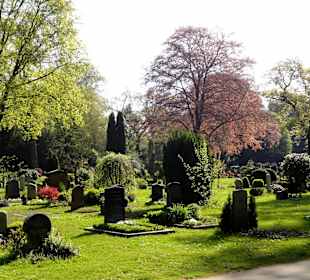 Spaziergang über den Friedhof Riensberg