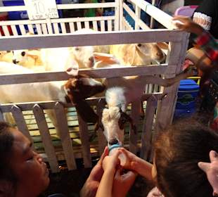 Auf dem Nachtmarkt von Kanchanaburi