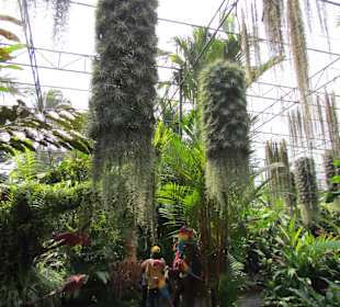 Noong Nooch Village Garden und Resort