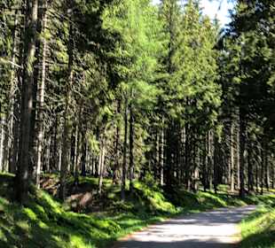 Wandern Mönichwald