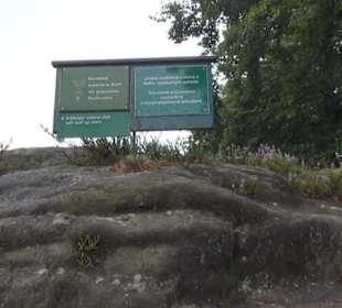 Felsenburg Neurathen