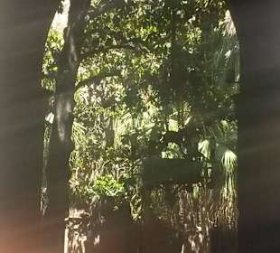 Готический квартал